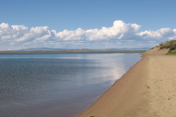 Реальные ссылки кракен