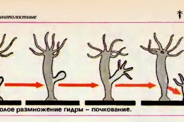 Кракен маркетплейс в москве