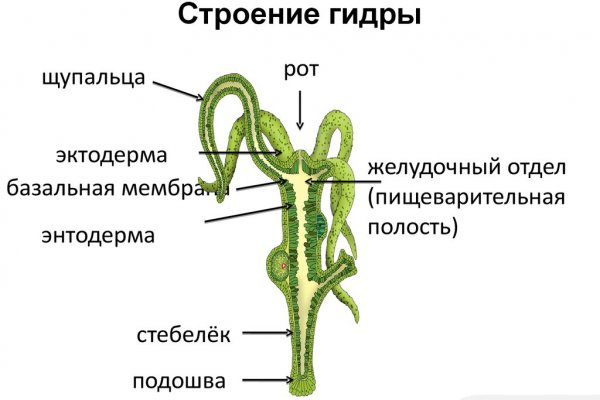 Как зайти на кракен с компа