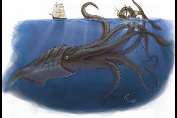 Kraken17at