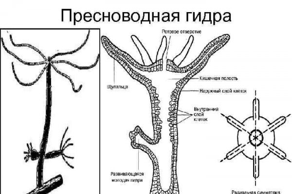 Кракен маркетплейс отзывы