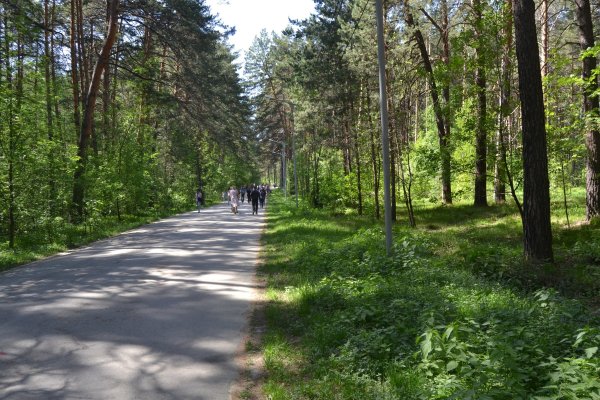 Кракен зарегистрироваться