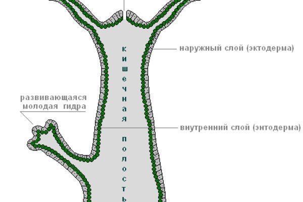 Кракен пишет пользователь не найден