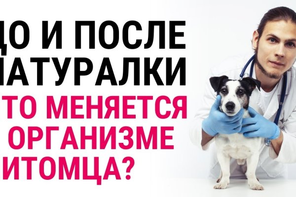 Как перейти на кракен
